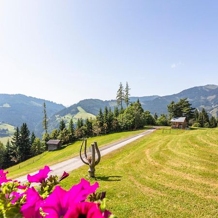 Landhaus Hochkoenig Mühlbach am Hochkönig Extérieur photo