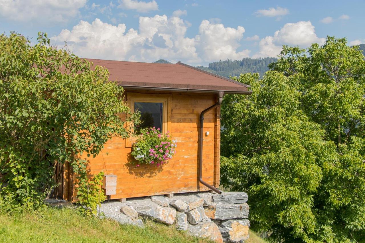 Landhaus Hochkoenig Mühlbach am Hochkönig Extérieur photo