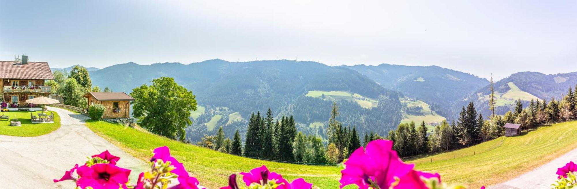 Landhaus Hochkoenig Mühlbach am Hochkönig Extérieur photo