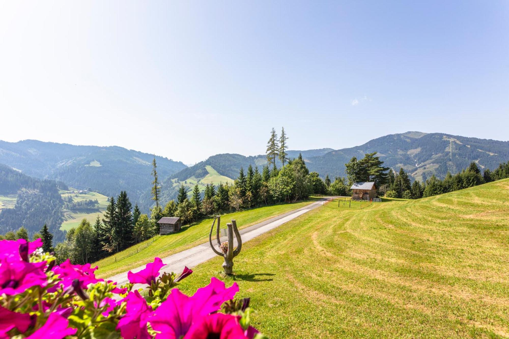 Landhaus Hochkoenig Mühlbach am Hochkönig Extérieur photo